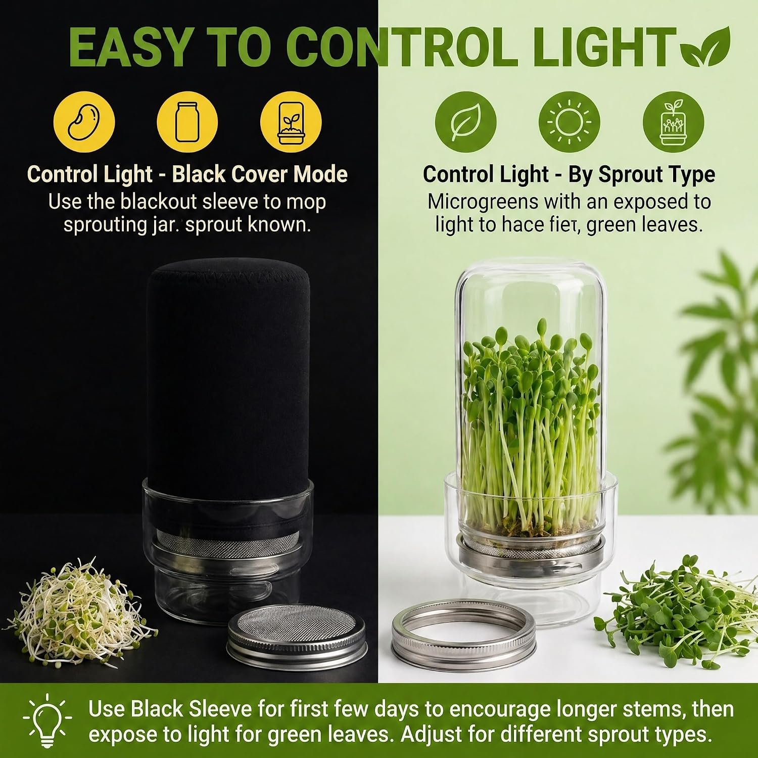 Sprouting Jar Kit – Maeyova 2-Pack Mason Jars with Stainless Steel Mesh Lids, Glass Base, Cover & Brush – Seed Sprouter