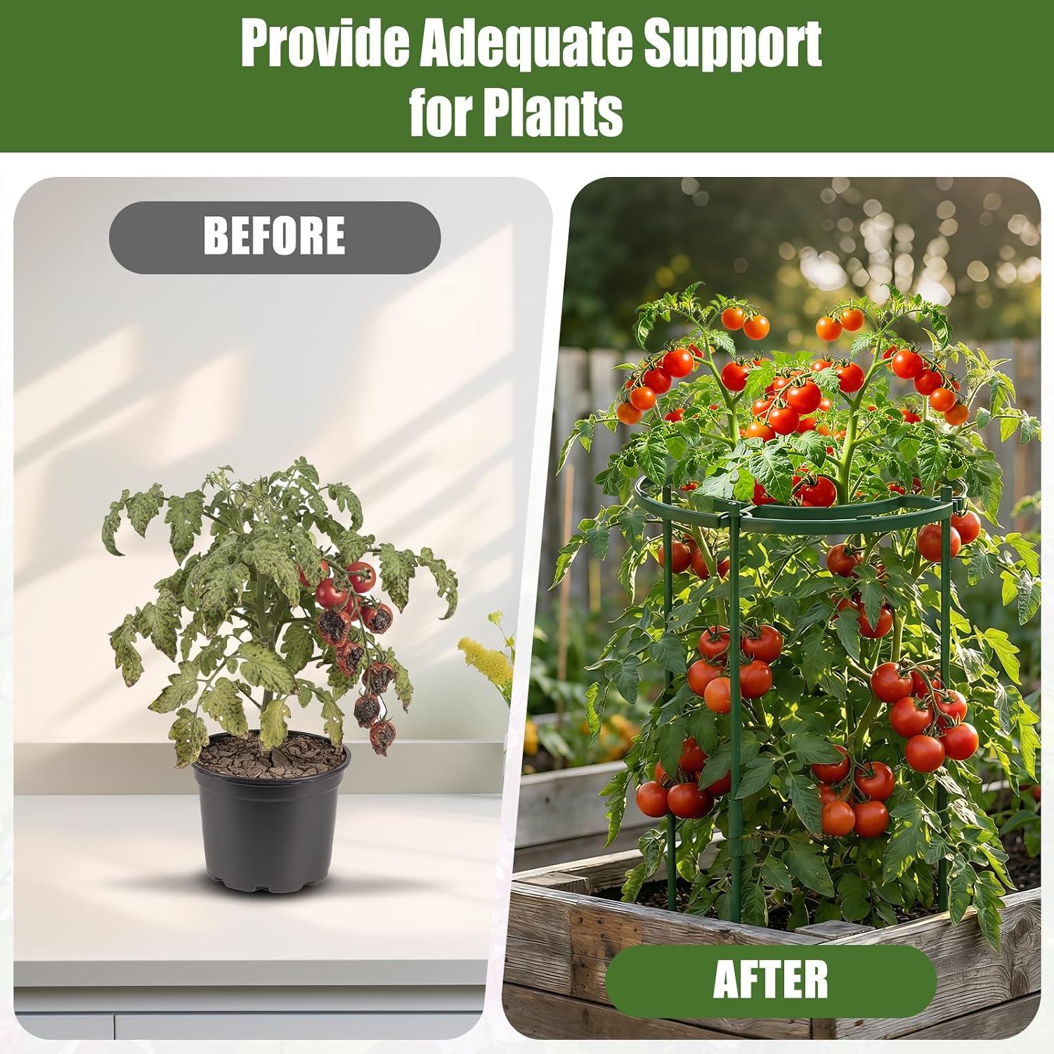 MJZ 4 Pack Peony Cages and Supports, 11.8" D x 25" H Plastic Plant Supports | Peony Support Cage Flower Support Rings