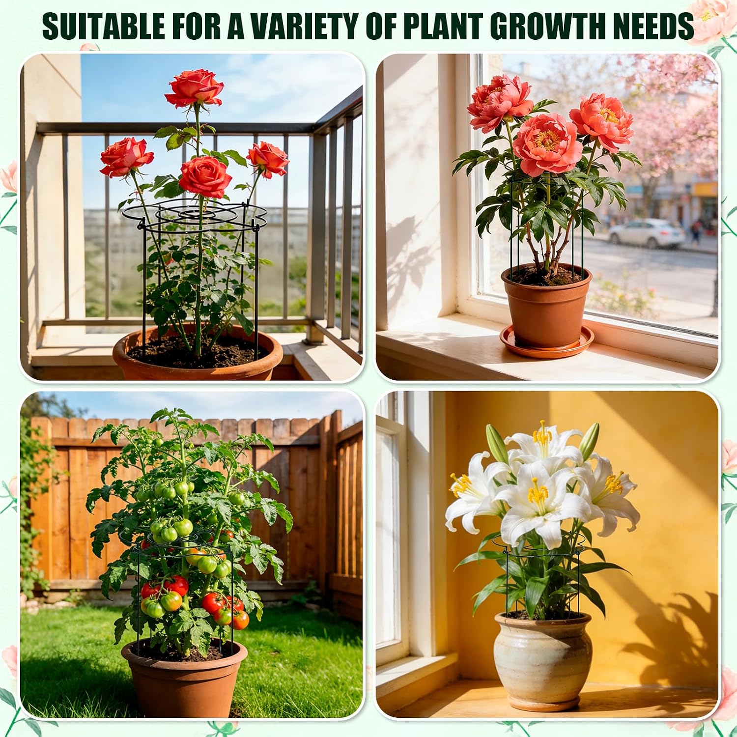 Peony Cages and Supports 4 Pack, 13" Dx24 H Grow Through Plant Supports, Heavy Duty Metal Plant Support Cage for
