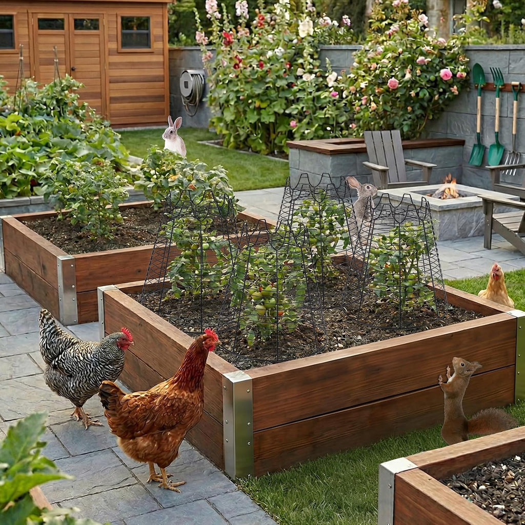 6 Pcs 11.6"×11.6" Garden Cloches for Plants, Sturdy Metal Plant Cages to Keep Animals Out, Reusable Wire Plant Covers