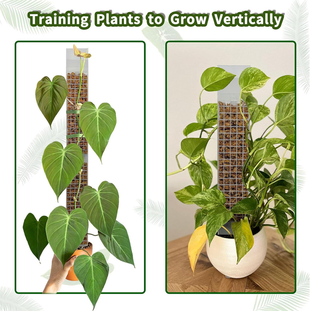 4PCS 18.7-Inch D-Shaped Self-Watering Moss Pole - Plastic Monstera Support for Indoor Climbing Plants. (4, White)