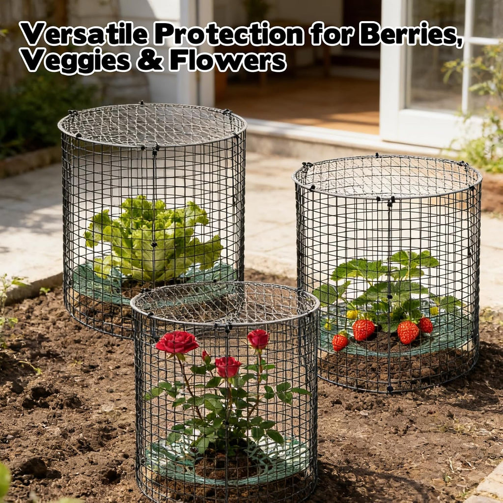 6 Pack Round Upgraded Strawberry Supports with Wire Covers Plant Protectors from Animal - All-in-One Garden Protection