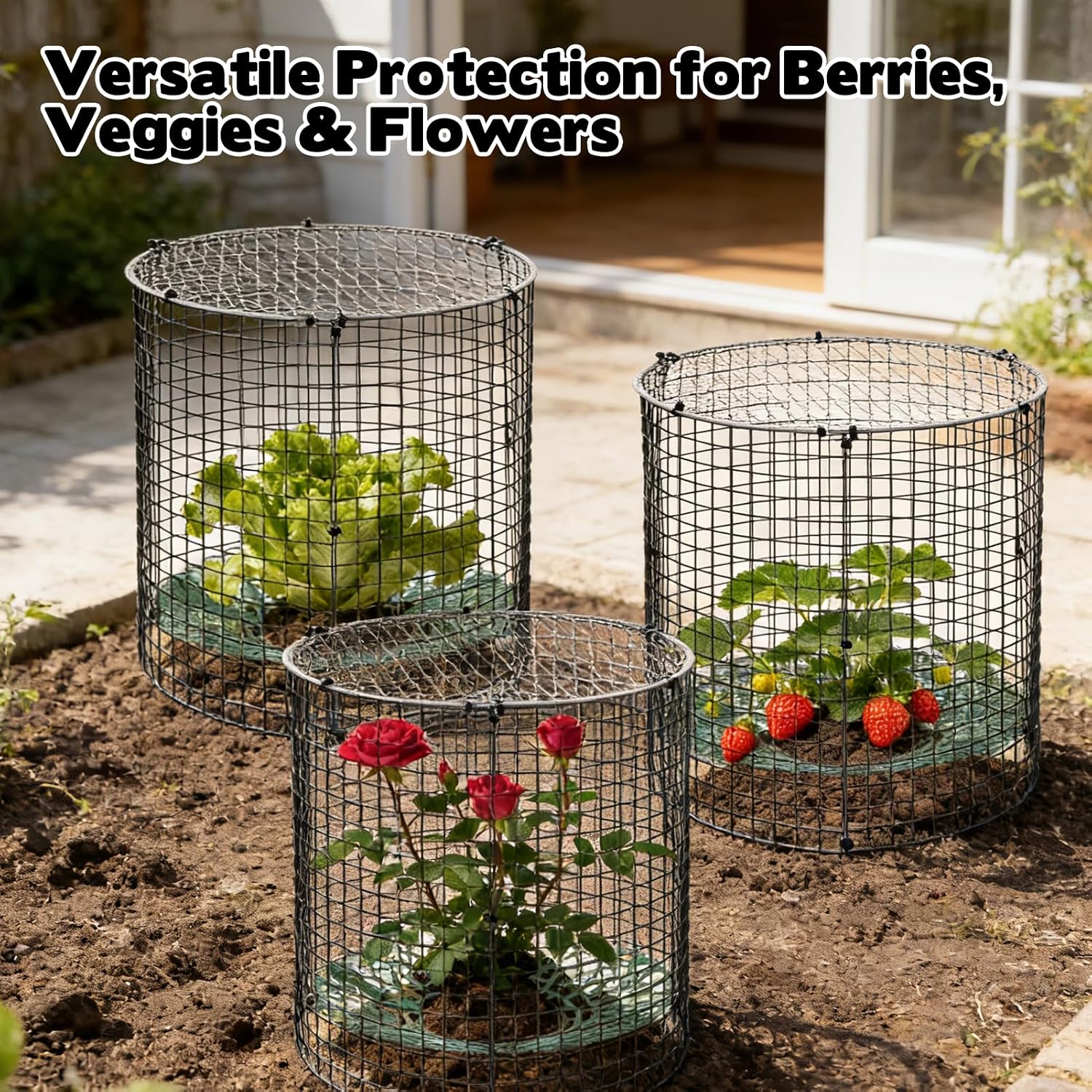6 Pack Round Upgraded Strawberry Supports with Wire Covers Plant Protectors from Animal - All-in-One Garden Protection