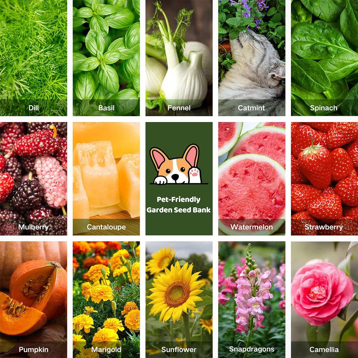 Lush&Dew Pet-Friendly Heirloom Seed Bank, Gardening Gifts for Women Men | 16 Varieties 15,000+ Non-GMO Seeds for