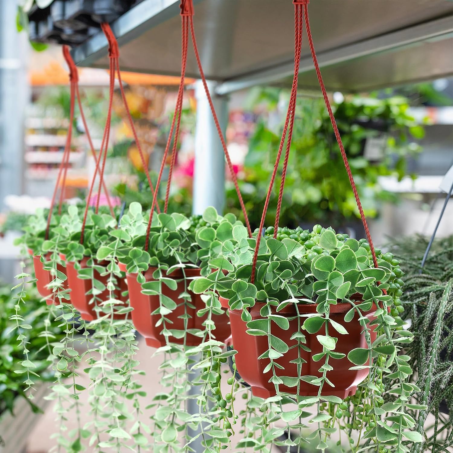 Roshtia 50 Pcs 5.9 inch Plastic Hanging Plant Pots with Hooks Flower Pots Baskets Outdoor Hanging Nursery Planter