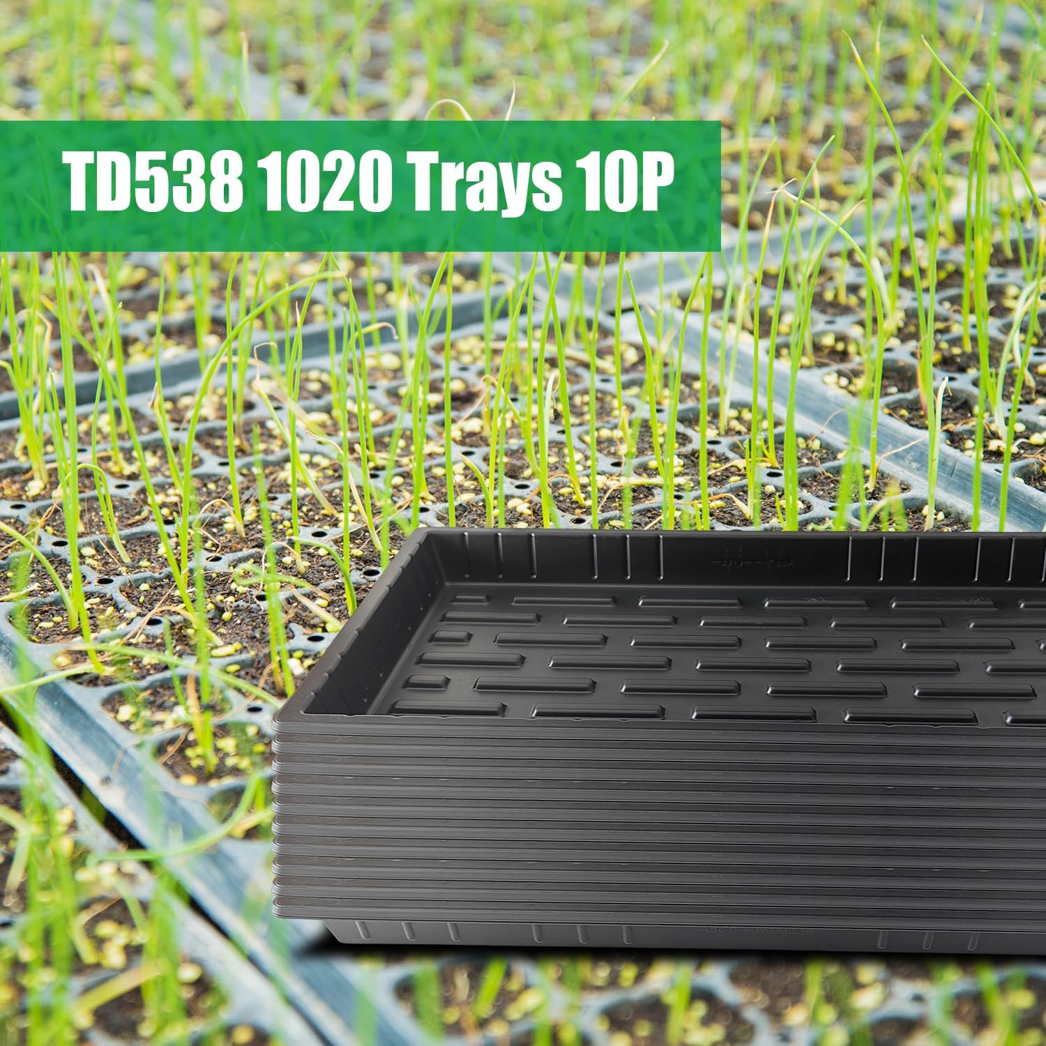 RooTrimmer 10 Pack 1020 Seed Starter Trays and 10 Pcs 72 Cell Plug Trays, Thick Durable Seedling Plastic Nursery Tray