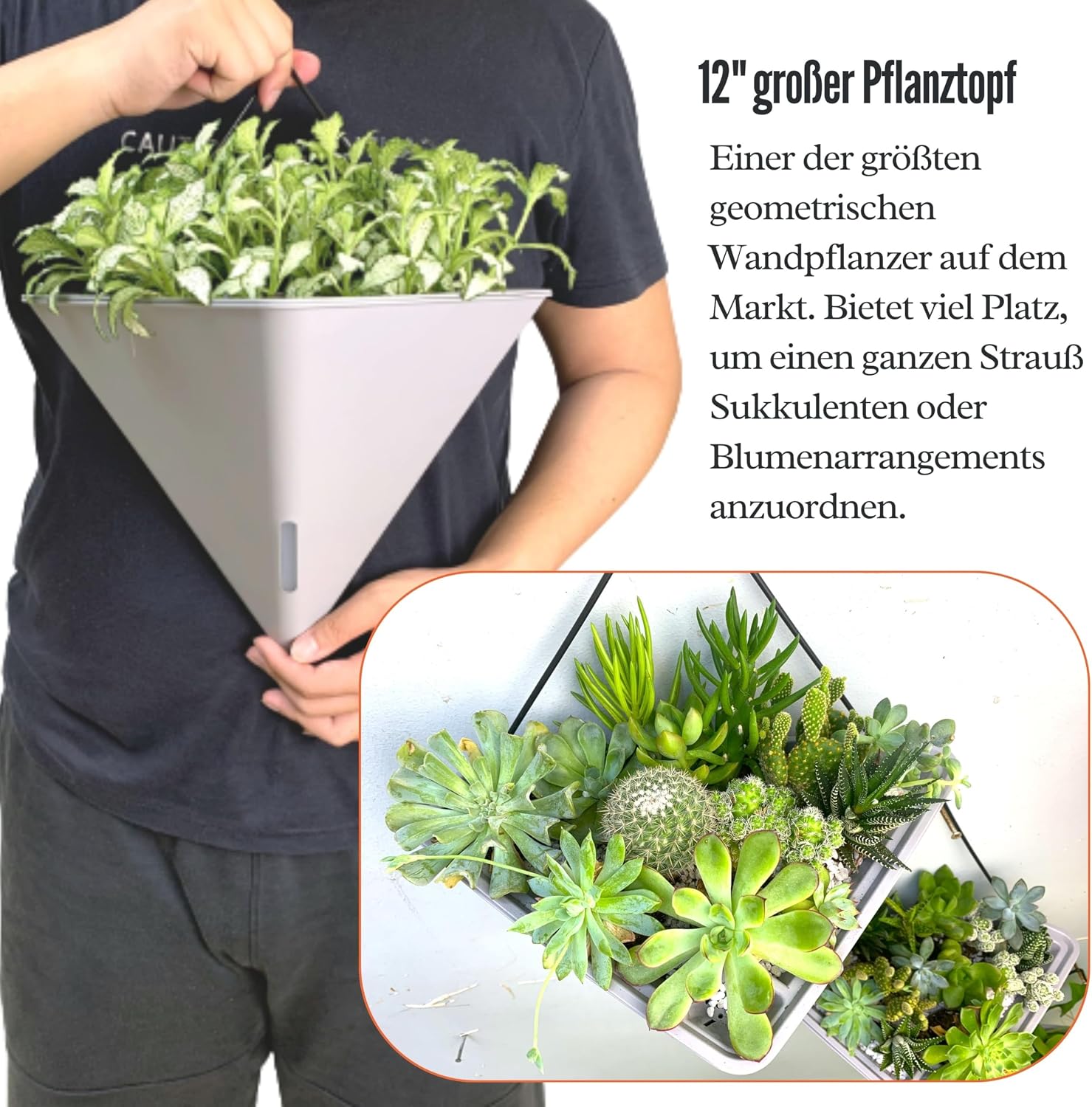 LaLaGreen Wall Planters for Indoor Plants (12in, 2 Pack) White Planter | Large Self Watering Geometric Hanging Flower