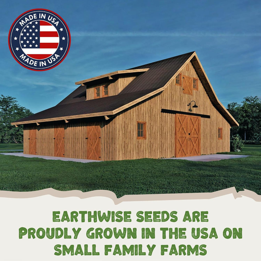Earthwise EcoSeed Alternative Lawn Seed - 50 lb, 10,000 sq ft | Fine Fescue Blend, Creeping Red, Chewings, Sheep