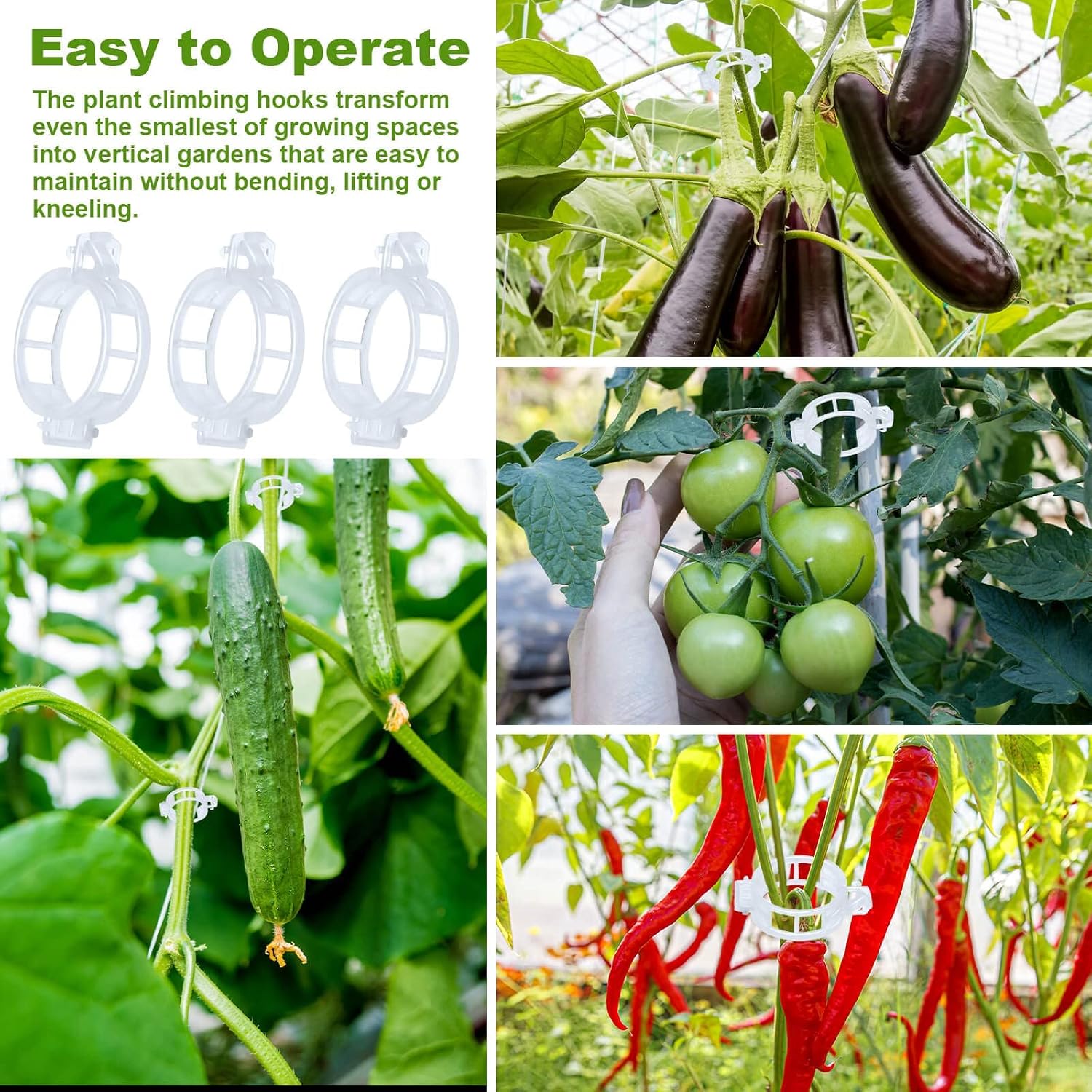 80Pcs Tomato Hooks with String, Support Hooks, Holder & Plant Support Clips with 33.3ft Twine to Prevent Pinching or