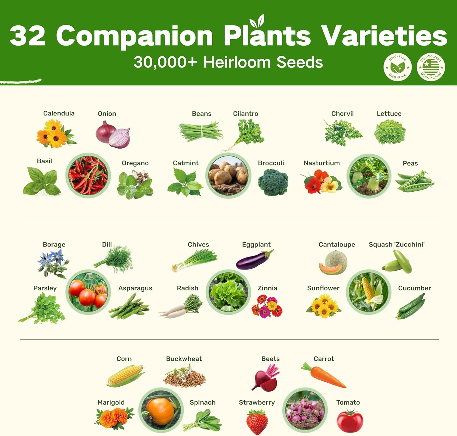 Lush&Dew Companion Plants Heirloom Seed Bank, Gardening Gifts for Women Men | 32 Varieties 30,000+ Non-GMO Vegetable