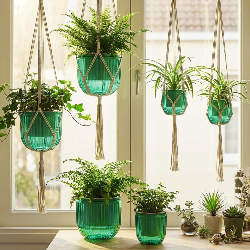 Hanging Planter Set of 6 Self Watering Indoor Flower Pots with Water Level Indicator Modern Plant Hangers for Indoor