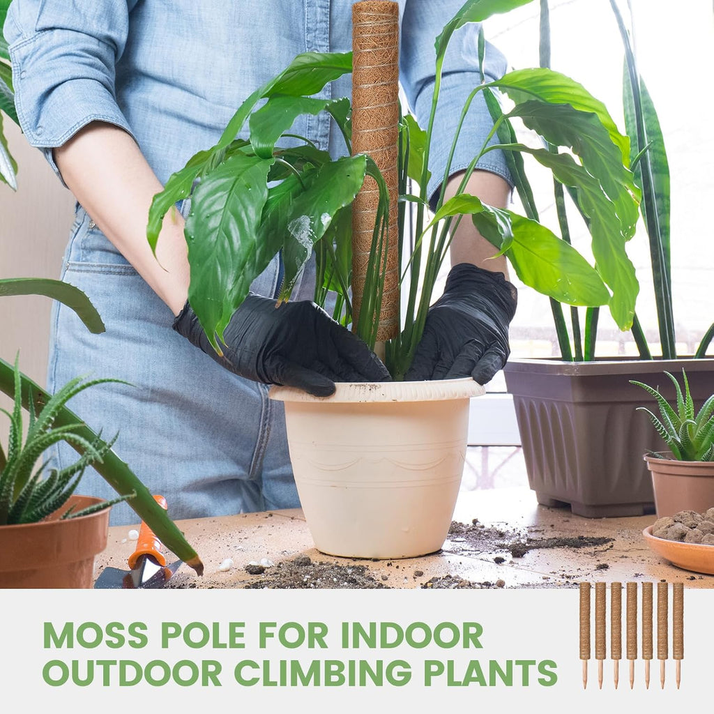 Yinder 50 Pcs Moss Pole for Plants Monstera Plant Support 16.5 Inch Coir Poles Bendable Monstera Plant Support with 10