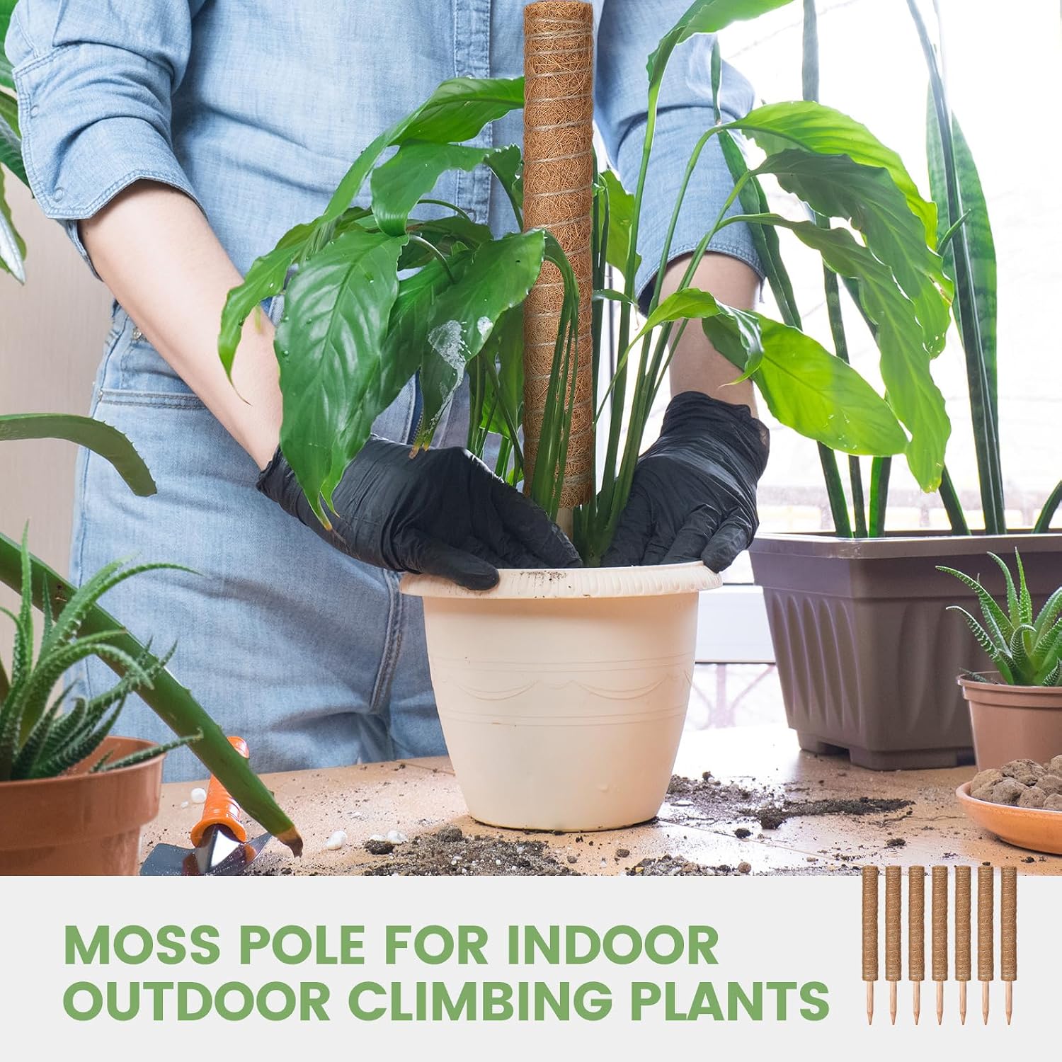 Yinder 50 Pcs Moss Pole for Plants Monstera Plant Support 16.5 Inch Coir Poles Bendable Monstera Plant Support with 10