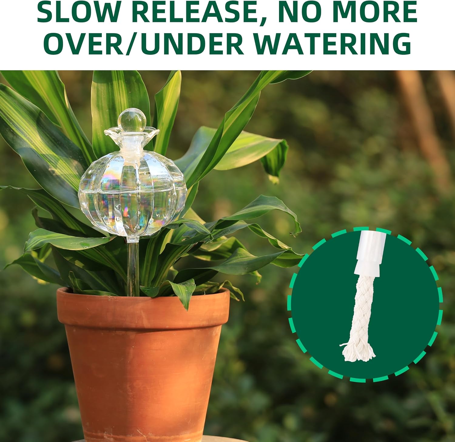 Soilagua 10 oz Large Top Fill Cactus Plant Self Watering Globes, Light Iridescent Glass Water Bulbs, Slow Release