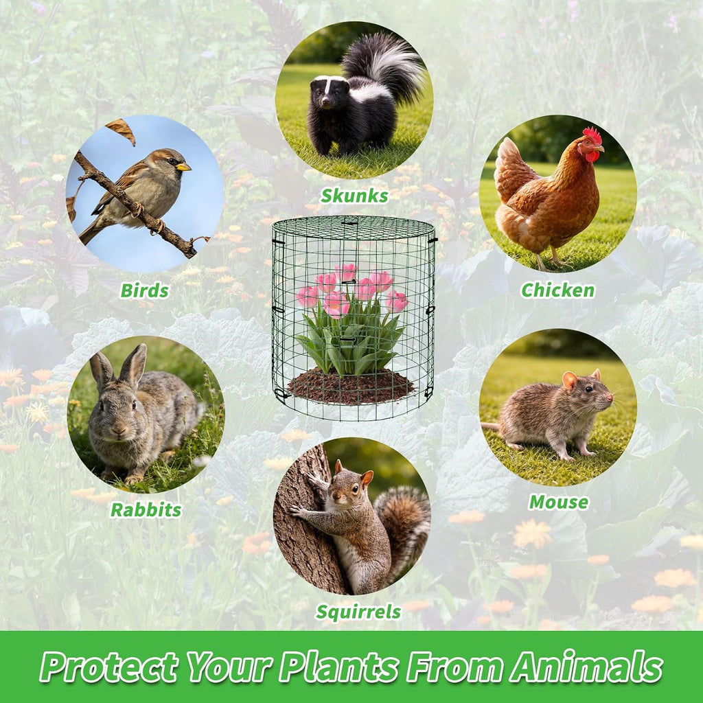 6 Pack 11.8×11.8in Plant Protectors from Animals, Wire Mesh Cages | Reusable Design, Protective Lid、Stakes、Zip Ties and