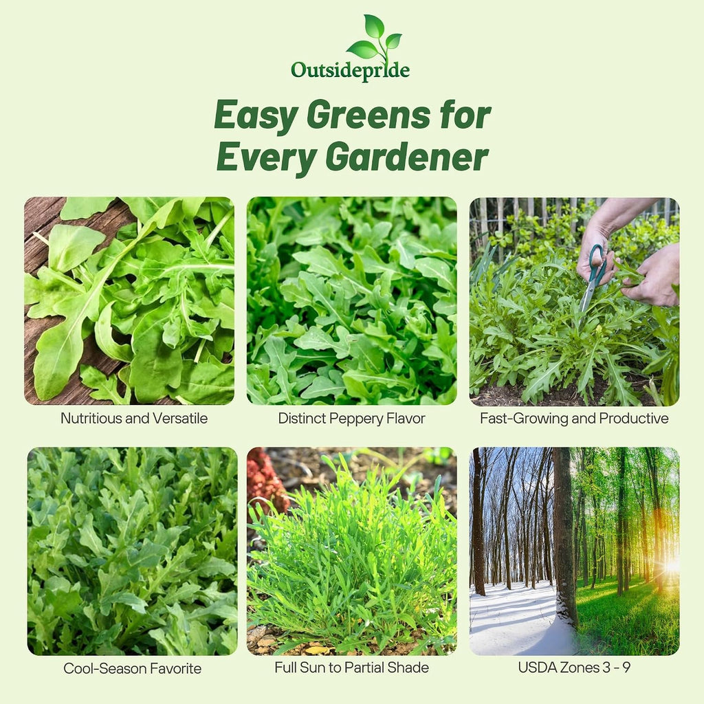 Outsidepride Arugula & Microgreens Seeds - 1 lb. Annual, Easy to Grow & Pollinator Friendly, Herb Seeds for Planting