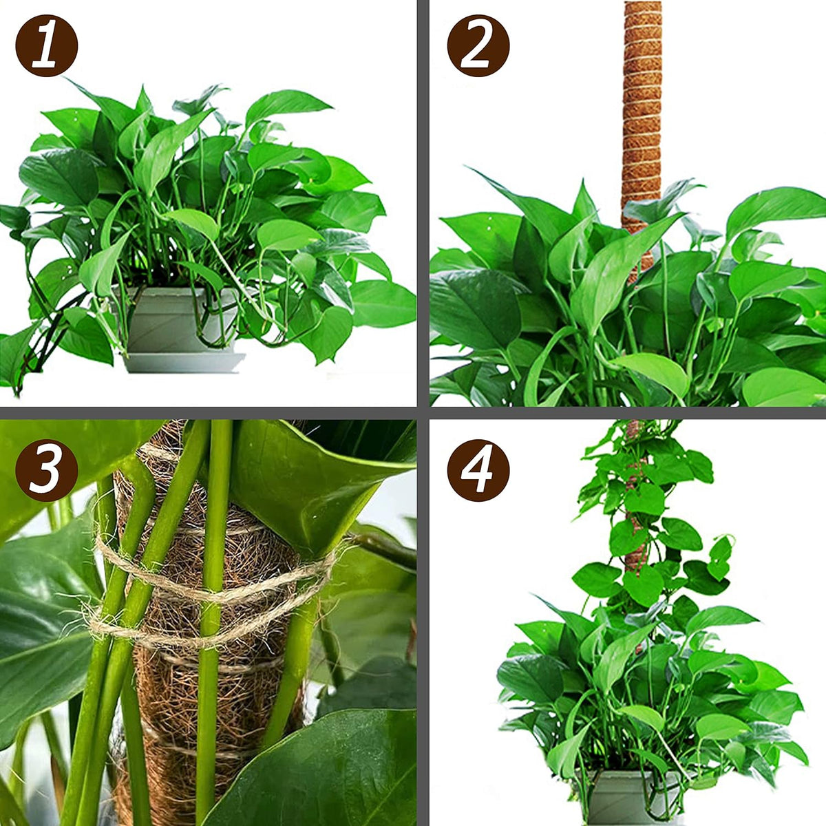 Tall Moss Pole Set, 60" and Two 28" Bendable Moss Pole for Plants Monstera, Moss Poles for Climbing Plants Indoor