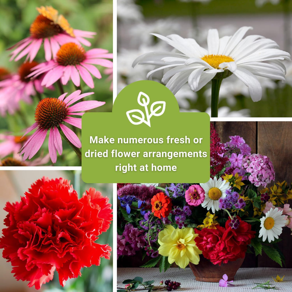 Sow Right Seeds - Large Flower Farm Seed Collection for Planting Garden | Includes zinnia, sunflower, lavender, and