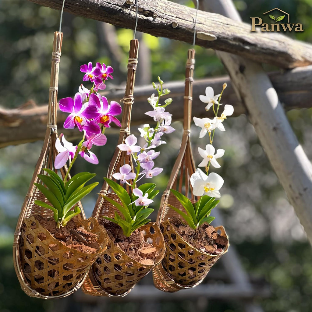 Handmade 100% Thai Bamboo Hanging Orchid Basket – 4 Inch Set of 3