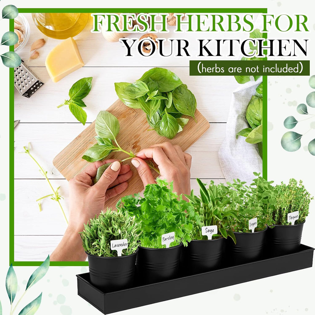 FoldTier 2 Sets Indoor Herb Garden Planter Kit with 10 Metal Pots, Black | Metal Pots with Drainage Holes, Plant Labels