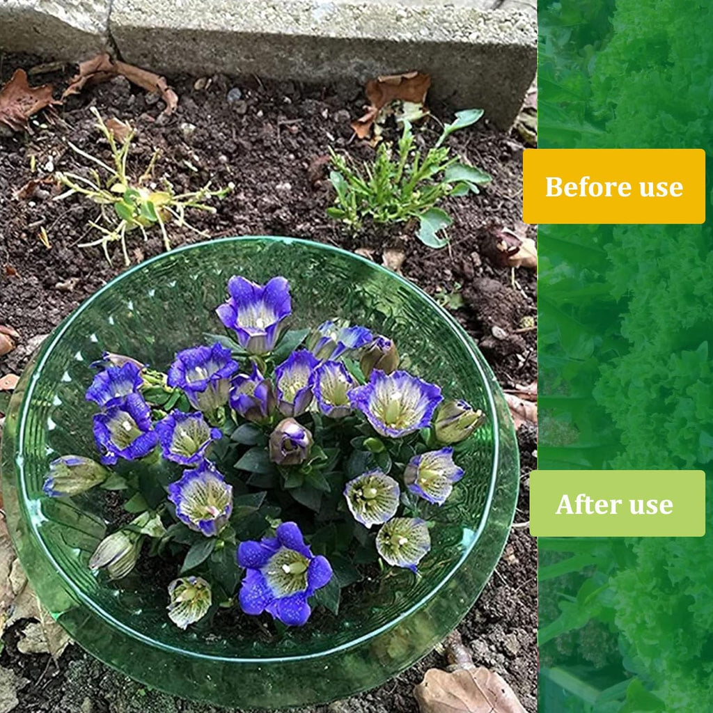 Fshow Slug & Snail Collars,30pcs Snail Garden Cloches,Snail Collar Protects Plants to Get Better.