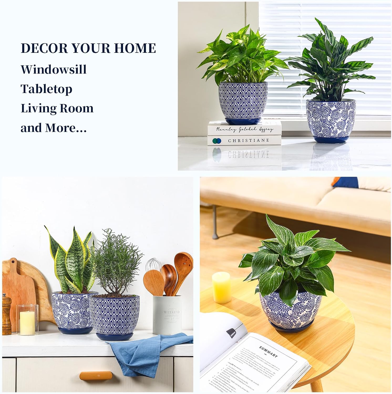 Selamica Ceramica Plant Pots, 6.5 Inch Flower Pots Set of 2 with Drainage Holes & Saucer, Planters for Indoor Plants