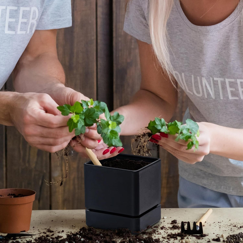 D'vine Dev 4-Pack Plastic Herb Planter Pots, 4 in, Black, 76-Y-B4-1 | Sleek Minimalist Style, Window Herb Garden