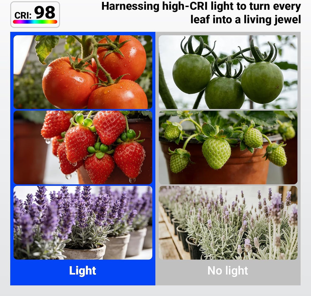 Barrina OG11A Grow Light Bulbs for Indoor Plant, 4000K 11W, 4 Packs, Black | Integrated Dimming & Timing, E26 Plant