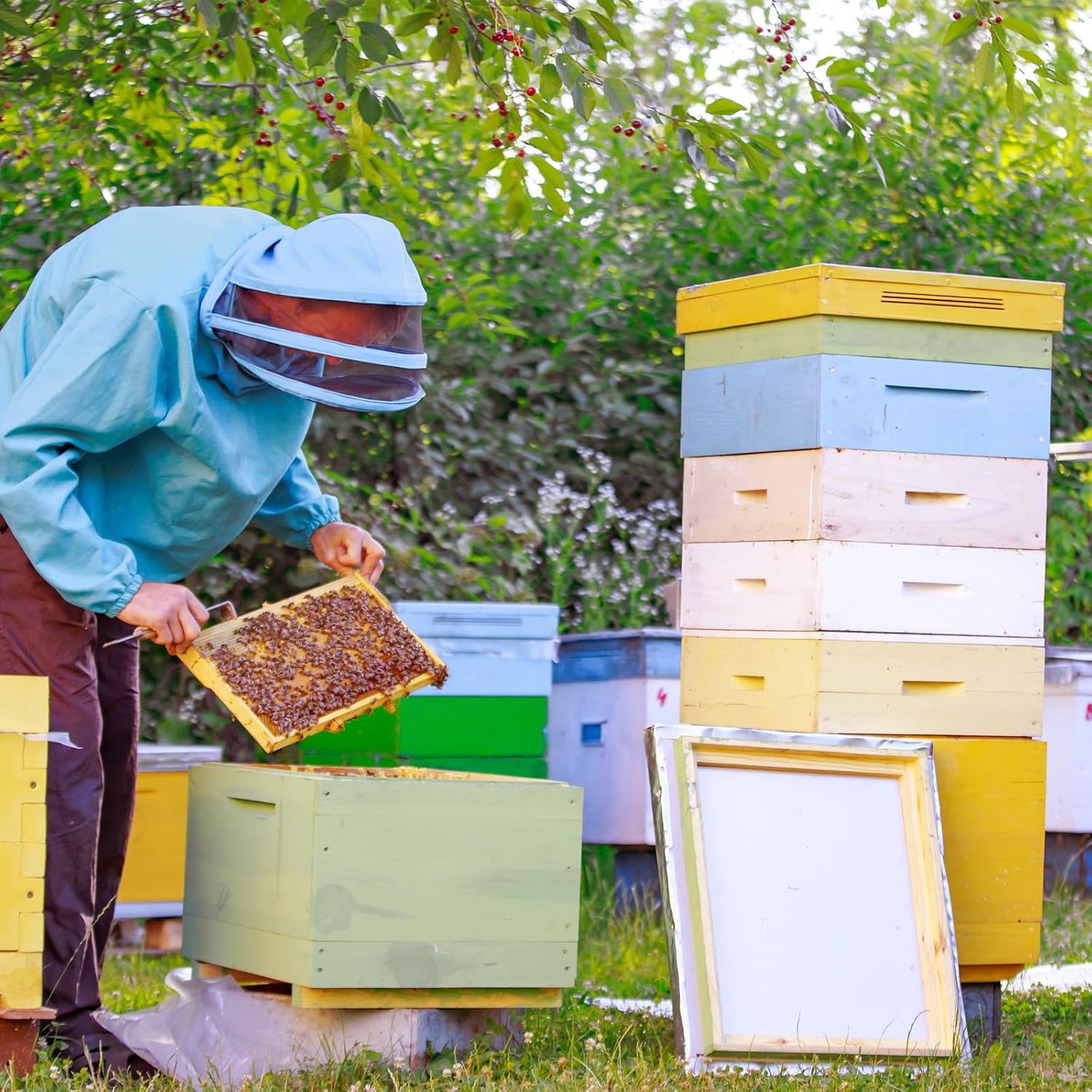 CroBlissful 2 Pcs 10 Frame Bee Hive Box Including Medium Super Beehive Box and Deep Brood Wooden Frames Bee Hives