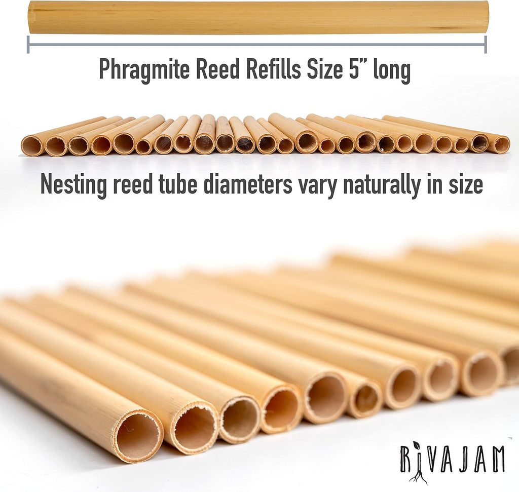 Rivajam 125 Phragmite Reed Mason Bee Tubes | Refill for Bee House, Hotel Nest Box, Solitary Hive & Pollinator Box