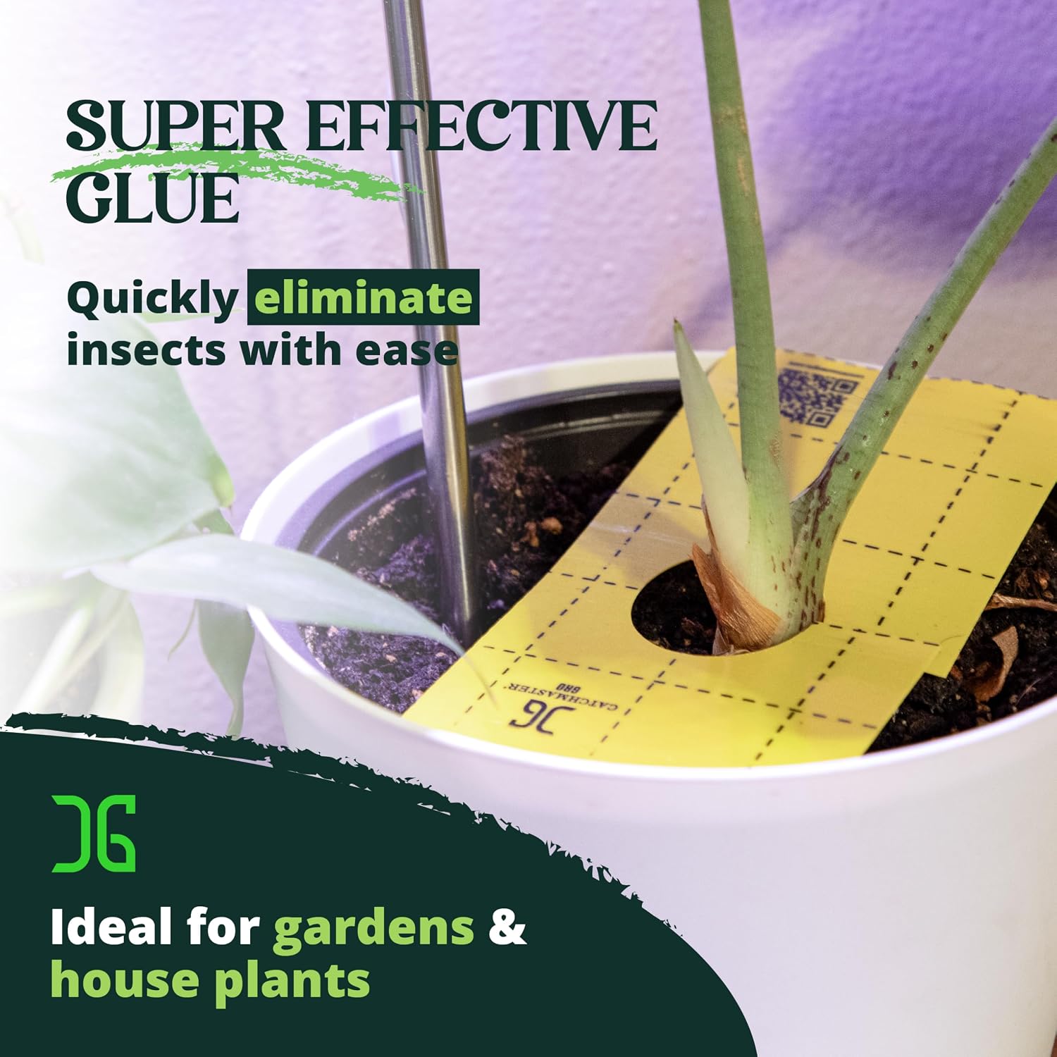 Catchmaster GRO Yellow Pre-Cut Ready to Use Sticky Traps 50PK, Bug & Fly Trap with Center Hole for Crawling Insects