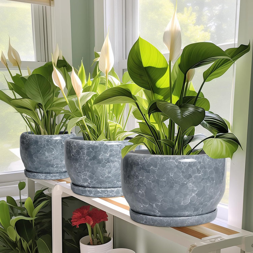 SQOWL 6 Inch Plant pots Indoor - Ceramic Planter with Drainage Hole and Saucer, Ceramic Flower Pot Outdoor, Decorative