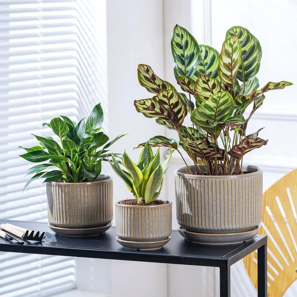 SURE YUESI Ceramic Plant Pots Set of 3, Indoor Outdoor Planters with Drainage Hole and Saucer, Ceramic Flower Pots for