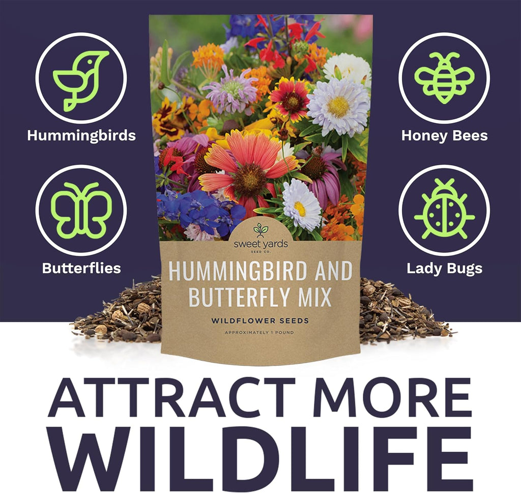 Bulk Wildflower Seeds Butterfly and Hummingbird Mix - 1 Pound Bag - Over 120,000 Open Pollinated Annual and Perennial