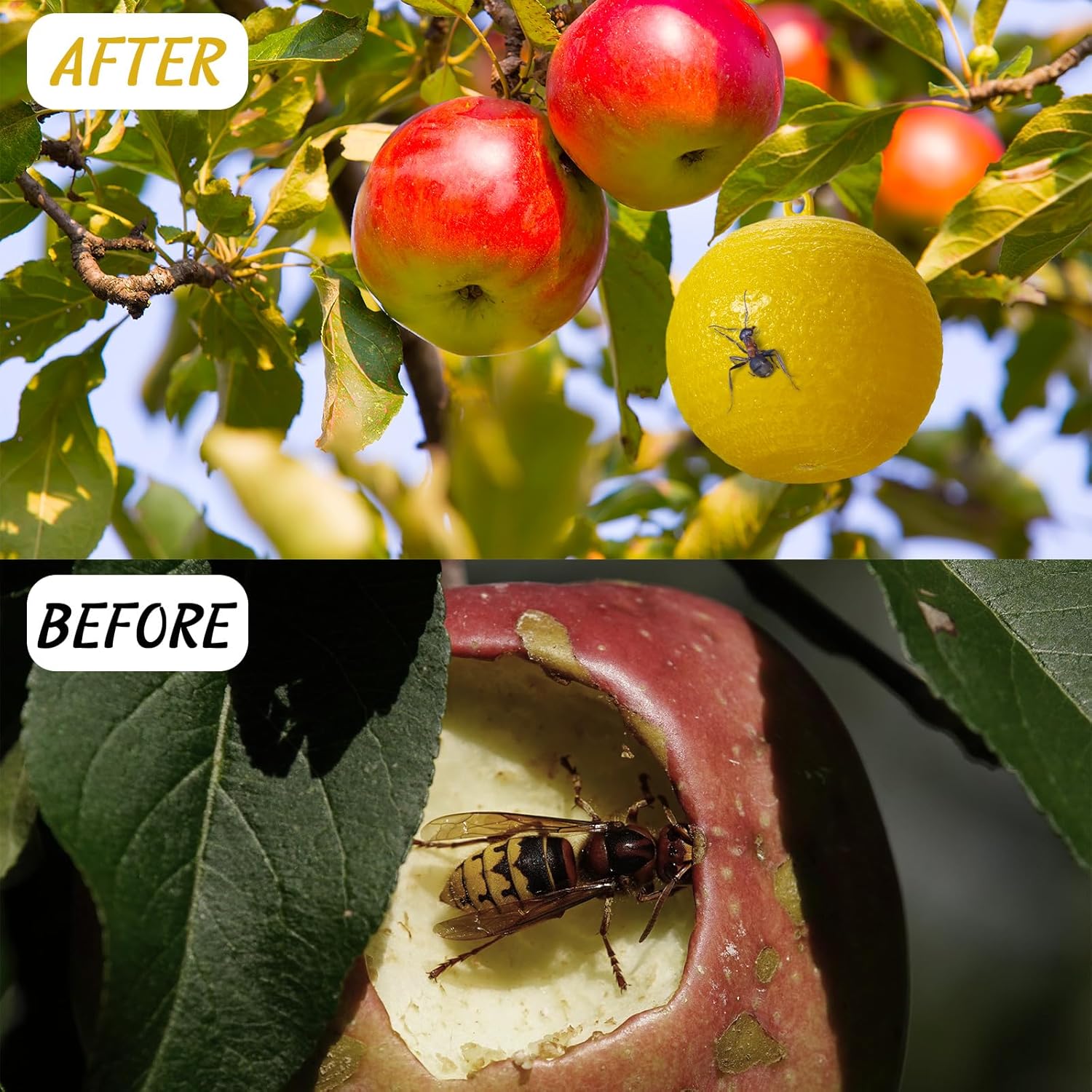 Qualirey 20 Pcs Sticky Fruit Fly Trap Ball Adhesive Fly Catching Ball Sticky Glue Fly Gnat Wasp Hornet Mosquito Bugs