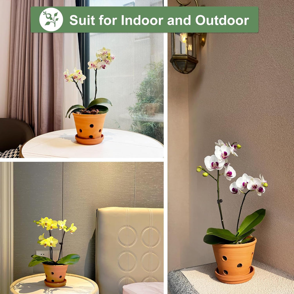 6 Inch Terracotta Orchid Pots with Holes, Saucers - 3 Pack Clay Orchid Planter Pots for Repotting, Small Terra Cotta