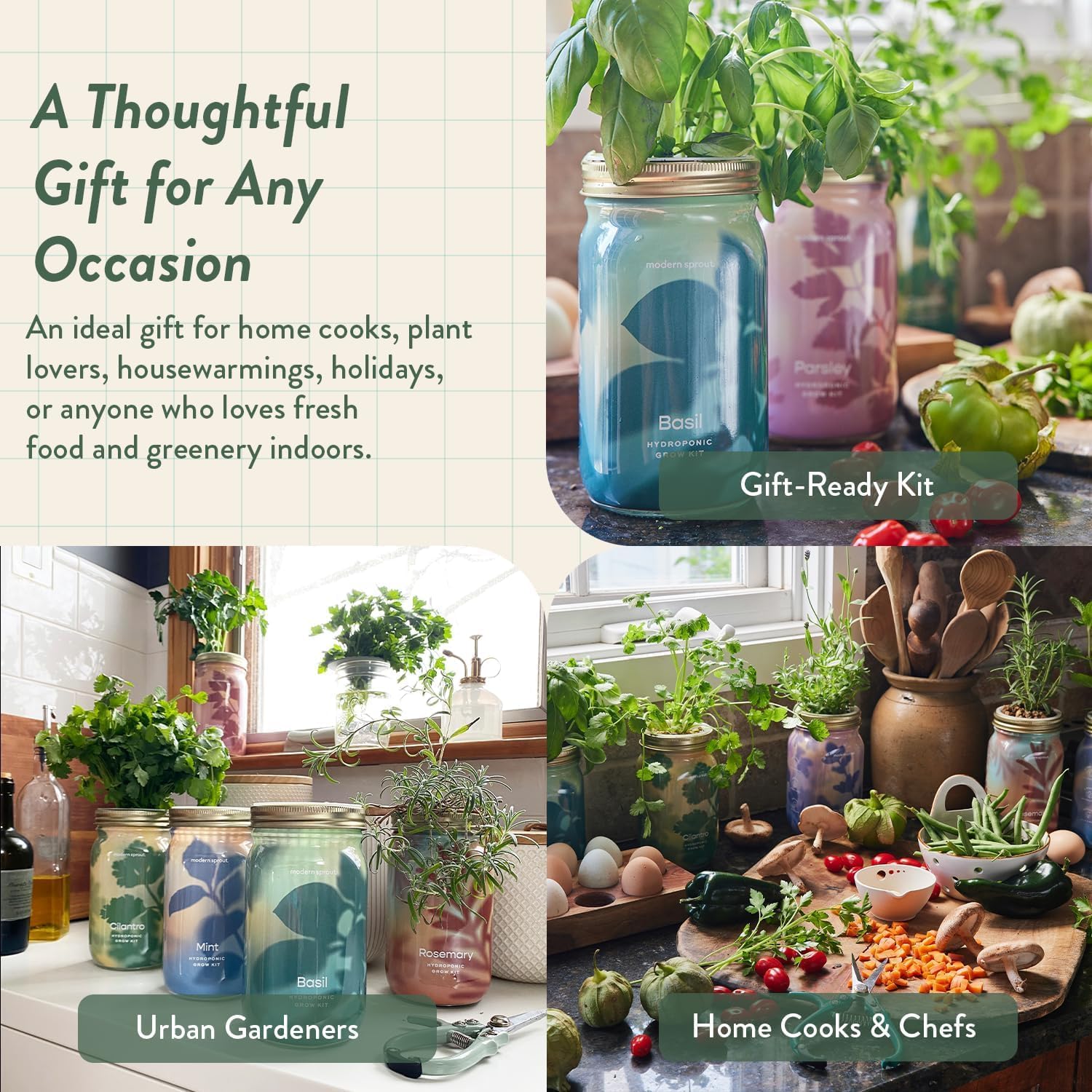 Modern Sprout MasonJar+Replant Kit-Self-Watering Hydroponic System-Cilantro | Growing System Kit w/Organic Herb Seeds