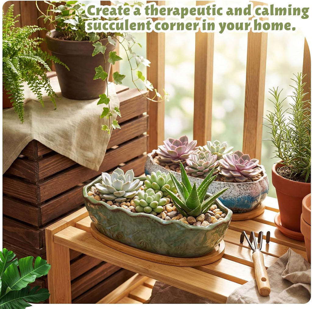 Succulent Pot 11 Inch Large Succulent Planters with Drainage Ceramic Bonsai Pot with Bamboo Tray Round Shallow Planter