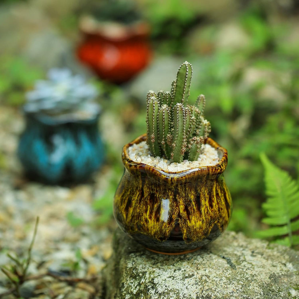 Cute Ceramic Succulent Planters, Garden Pots with Drainage and Attached Saucer, Set of 6 - Plants Not Included