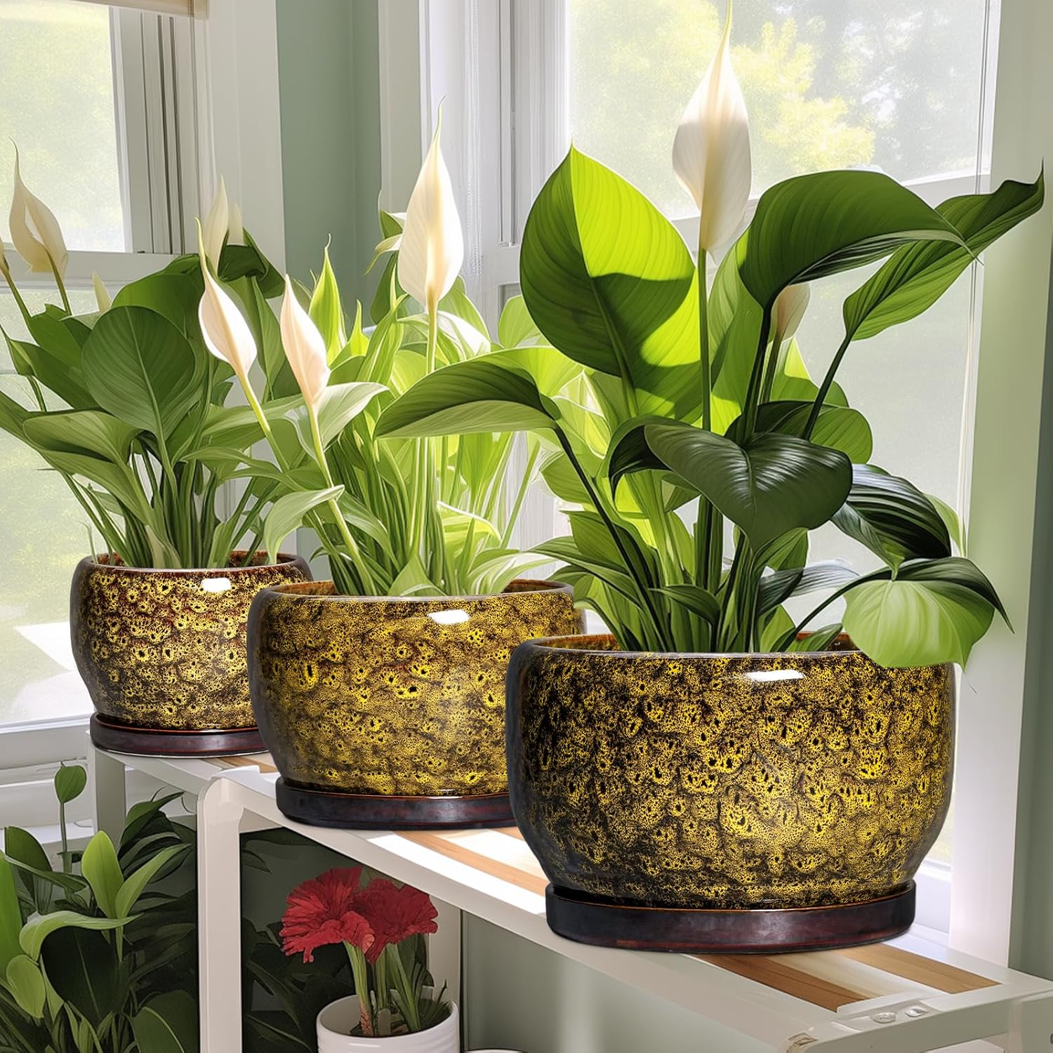 SQOWL 6 Inch Plant Pot - Ceramic Flower Pots with Drainage Hole and Saucer, Ceramic Planter for Indoor Plants Outdoor
