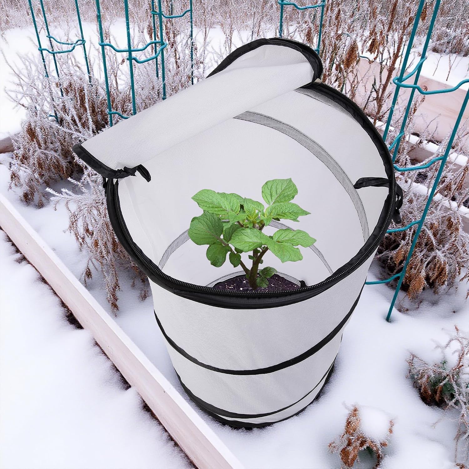 2 Pcs Pop Up Winter Frost Plant Cover, 20 x 12 Inch Round Garden Plants Freeze Protection Tent, Foldable Warm Plant