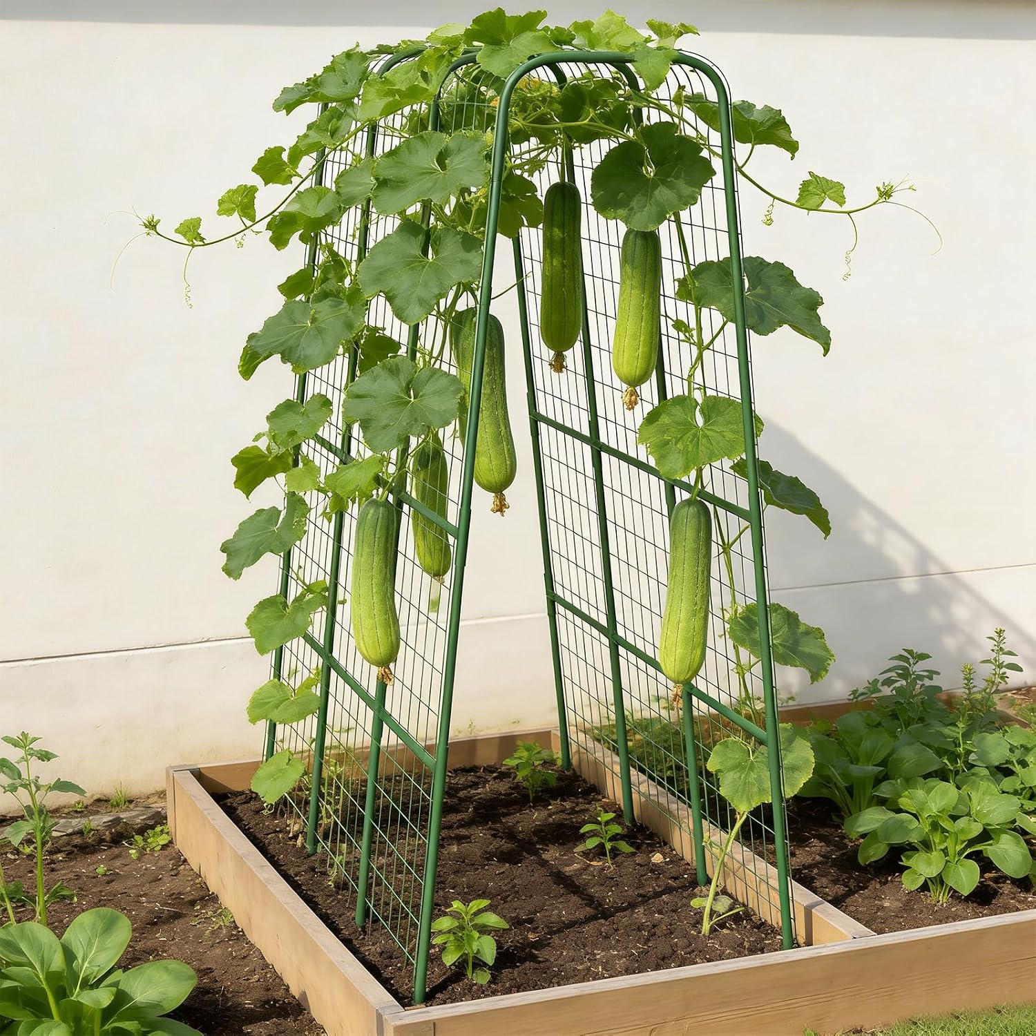 Cucumber Trellis for Raised Bed, 63" Heavy Duty U-Shape Garden Trellis for Climbing Plants Outdoor, Rustproof Plastic