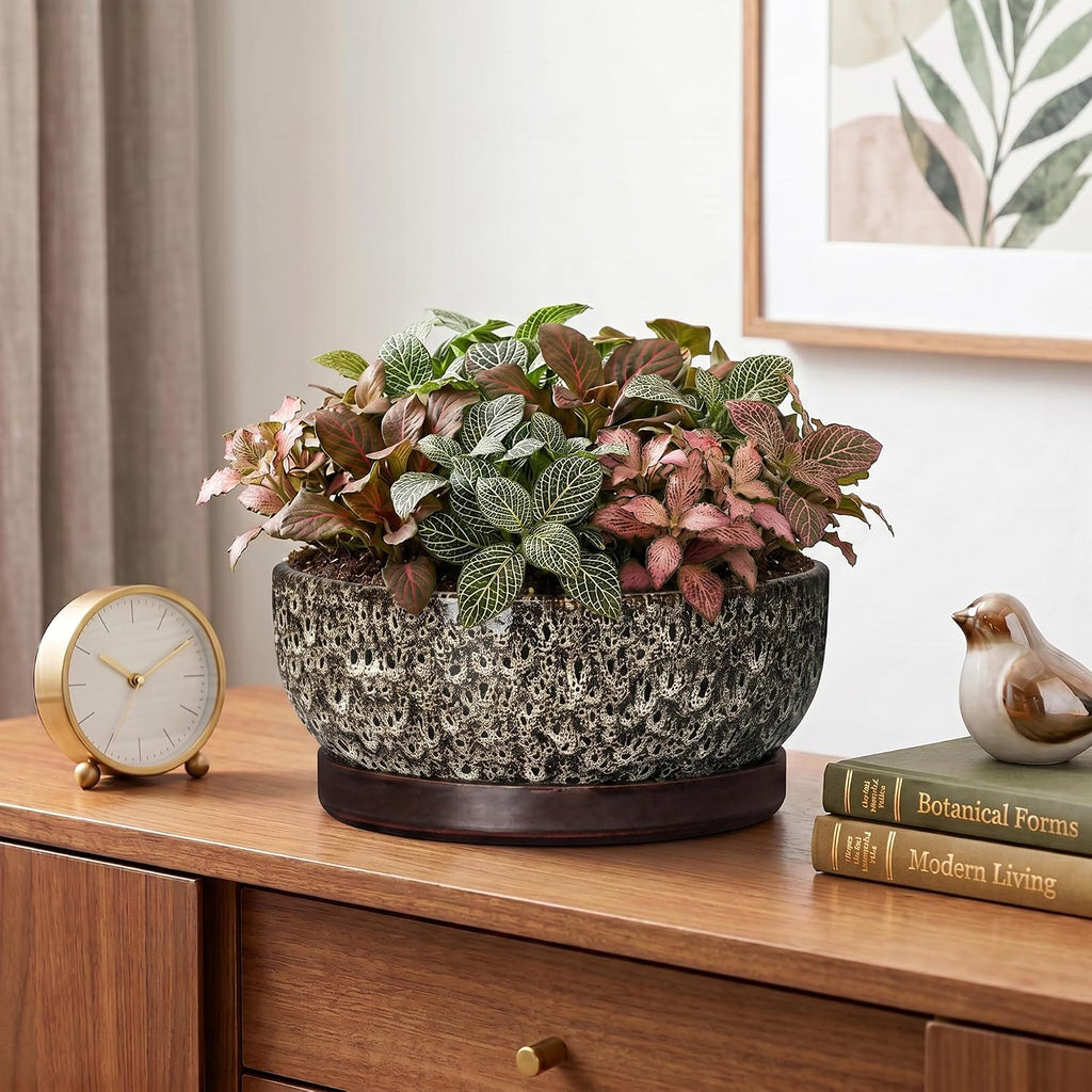 Bonsai Pots, 8 Inch Ceramic Succulent Pot with Saucer, White Leopard | Bonsai Planter for Indoor Plants, Round Shallow