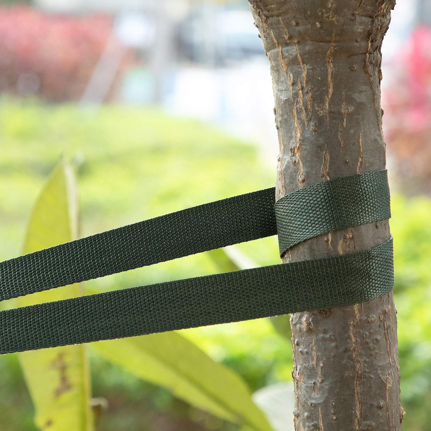 Shappy Tree Tie Strap Garden Webbing Strap Garden Plant Supports Tree Tie Staking and Guying for Outdoor Use, Plant