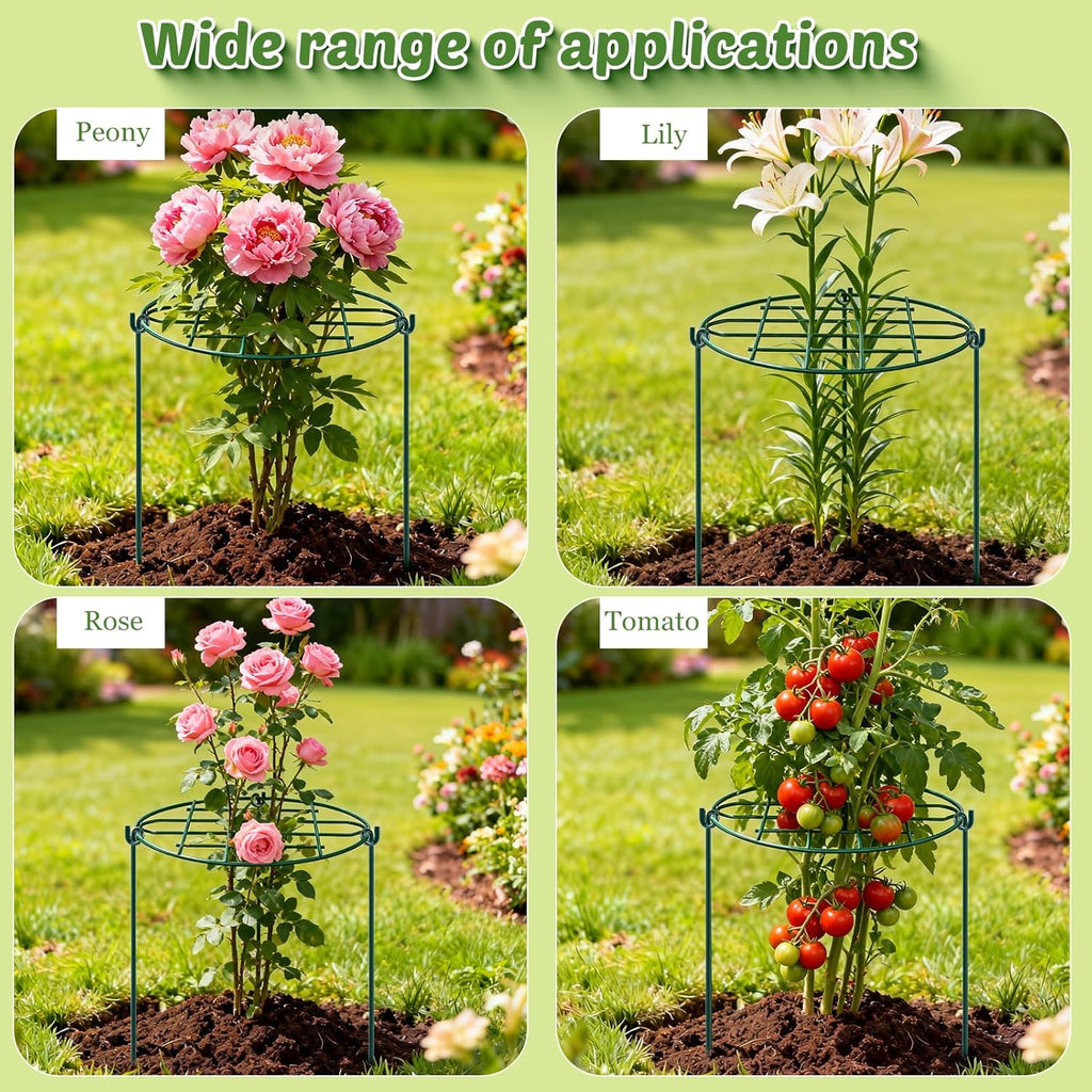 TTQ 8 Pack 12 x 15.7 inch Peony Cages and Supports,Metal Grow Through Plant Supports for Outdoor Plants,Flowers Support