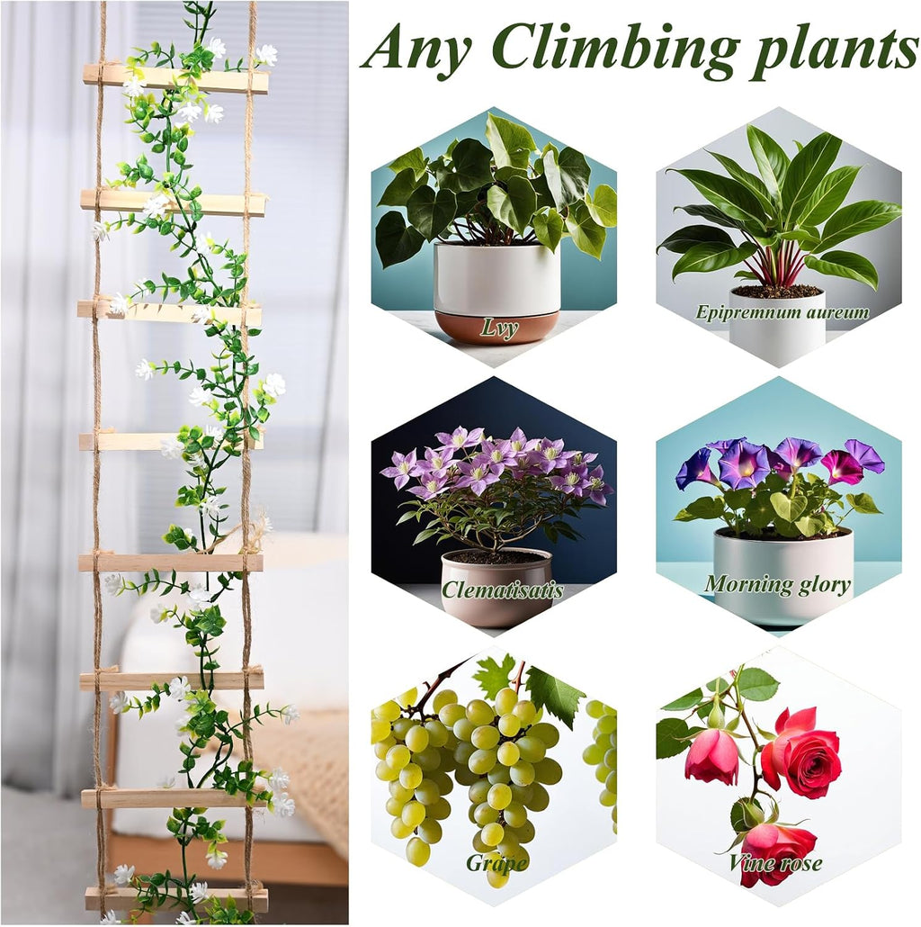 2pcs Plant Ladder Indoor Climb Plants Hanging Wooden Trellis Vine Support | Chain Trellis for Potted Plants Easy