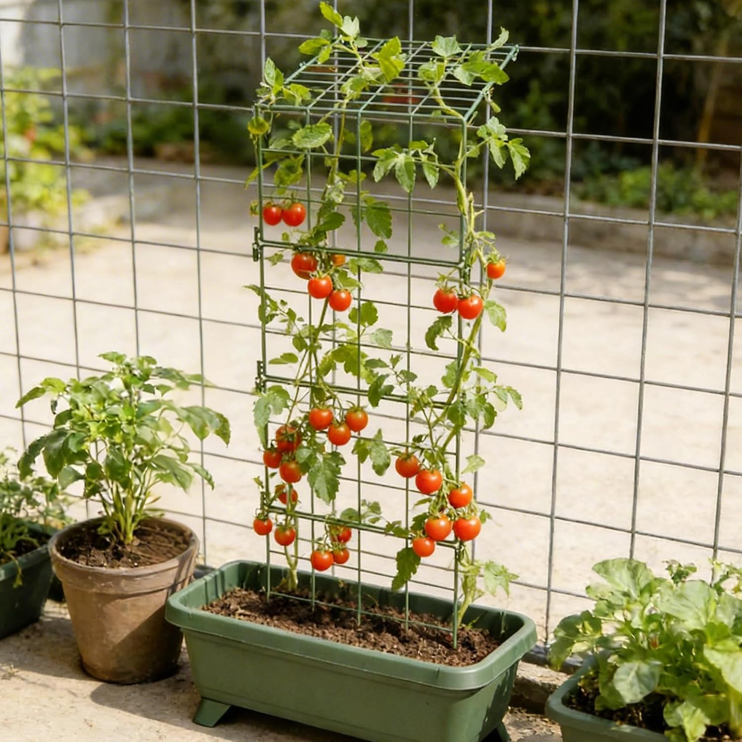 2 Pack Heavy Duty Adjustable A-Frame Trellis for Climbing Plants,48"x16", Rust-Proof Metal Garden Trellis with Dense
