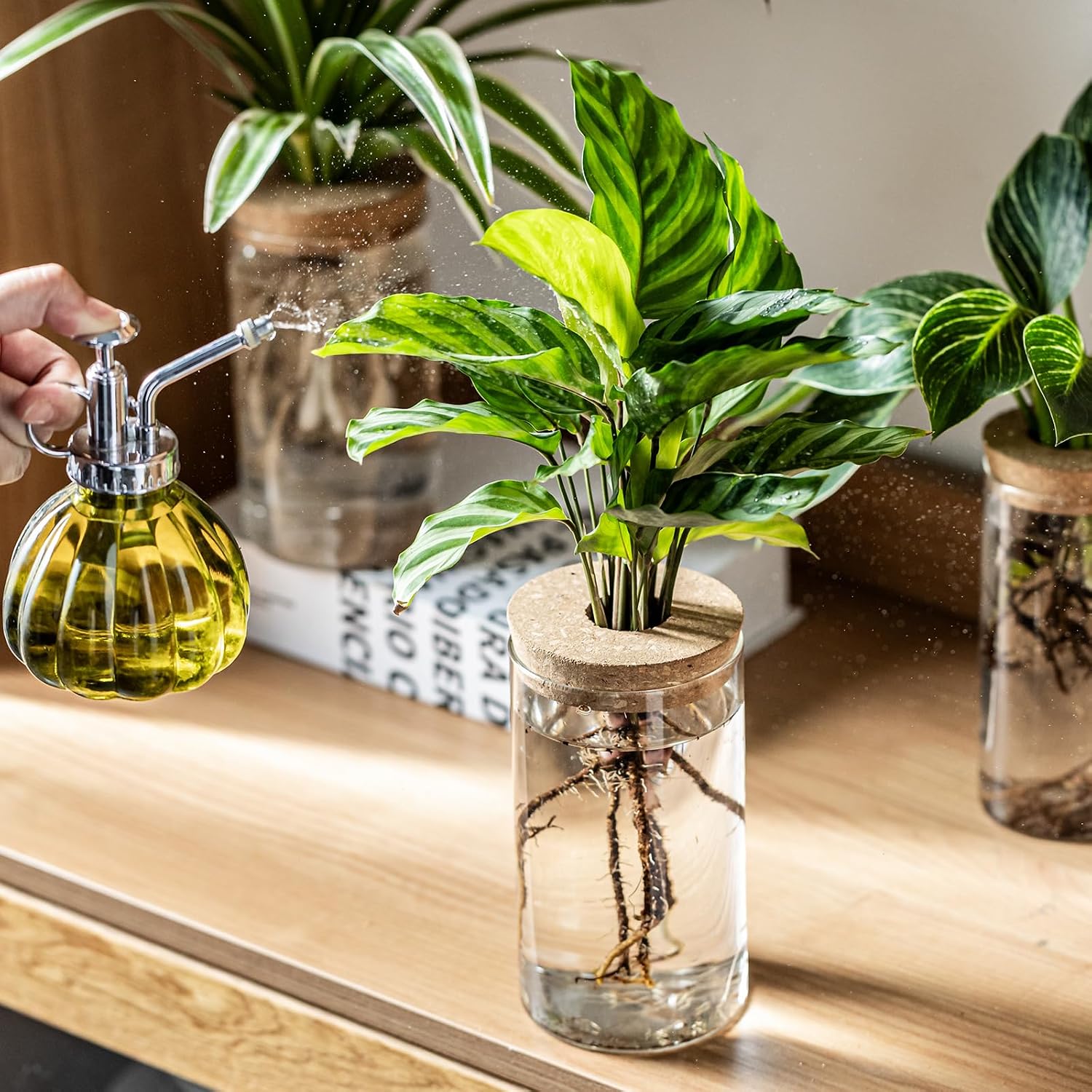 Propagation Vases for Plants, Set of 8(4 Large & 4 Small) Glass Plant Propagation Stations, Plant Propagation Jars for