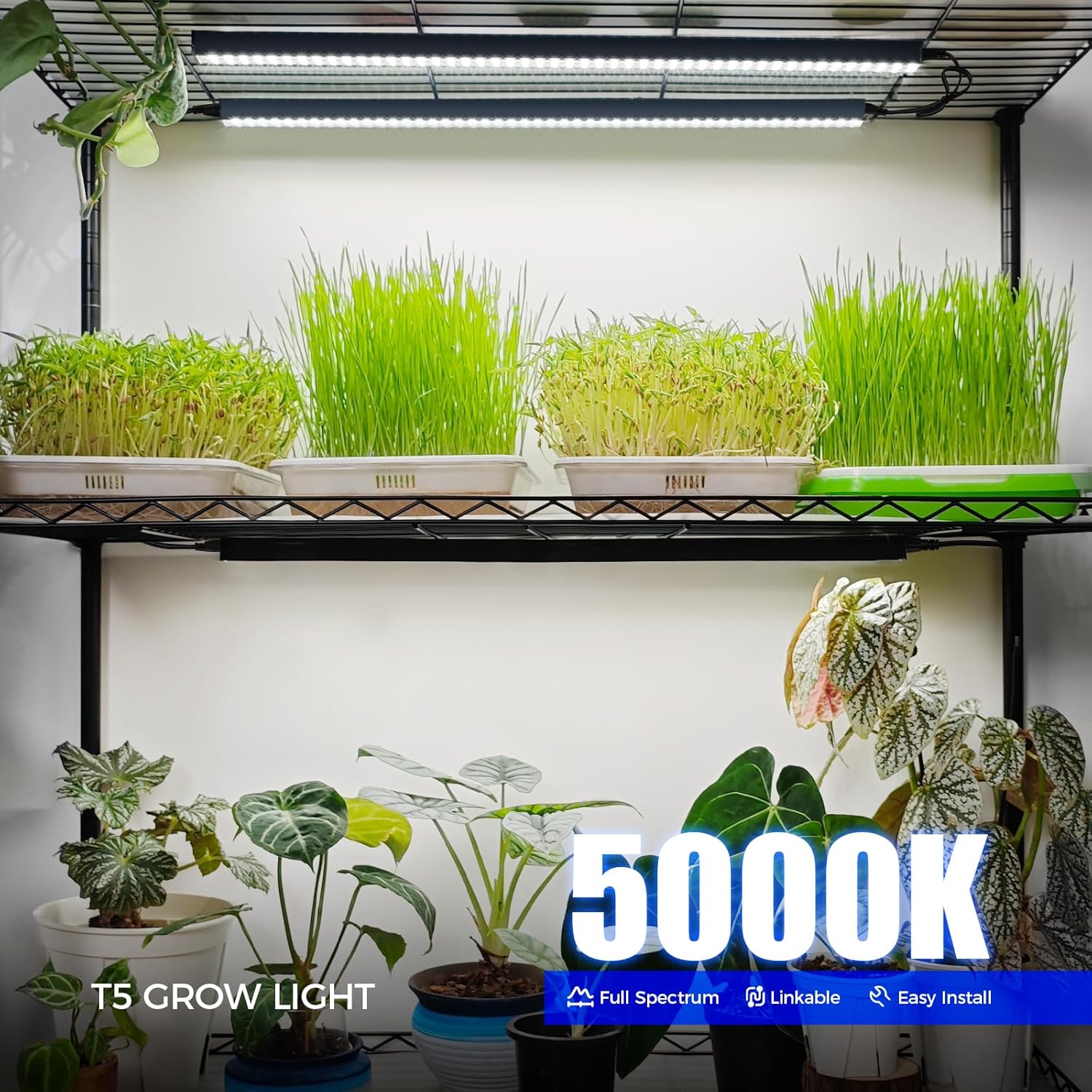 Barrina T5 Grow Lights for Indoor Plants, 2FT 5000K Full Spectrum, 4 Packs | LED Grow Light with Black Cover, T5 Grow