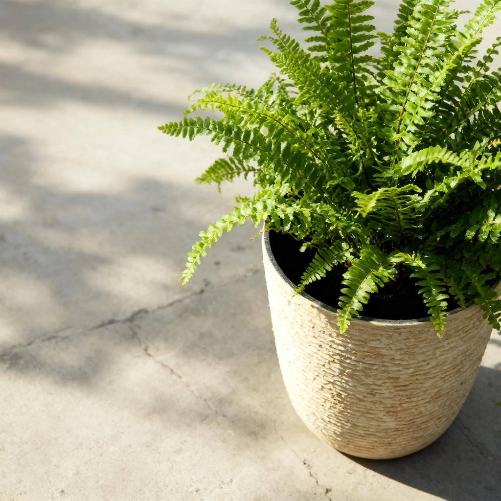 Worth 9 Gallon Tall Round Planters Set of 2-14" Dia x 21" H Stone Finish Flower Pots Indoor Decorative Container Garden